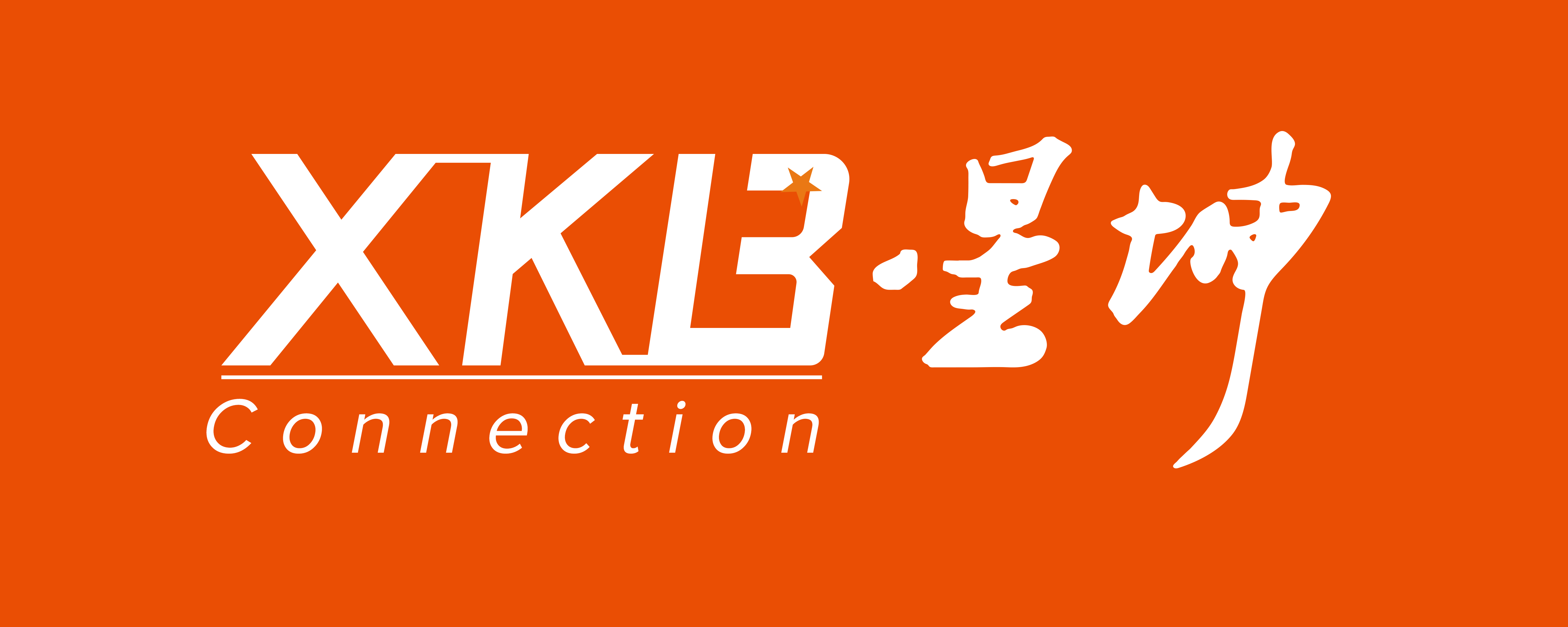 XKB_中国星坤_HDMI连接器